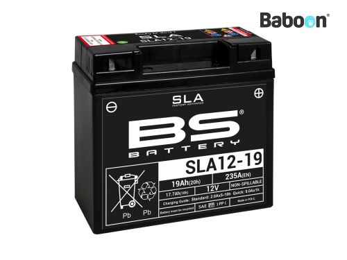 BS Battery Accu AGM SLA12-19 (51913) SLA Maintenance-free factory activated