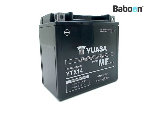 Yuasa Battery AGM YTX14 Maintenance free